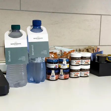 Montanari Palace Mirandola