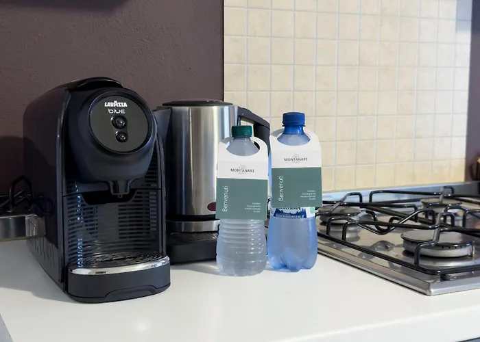 Montanari Palace * Mirandola